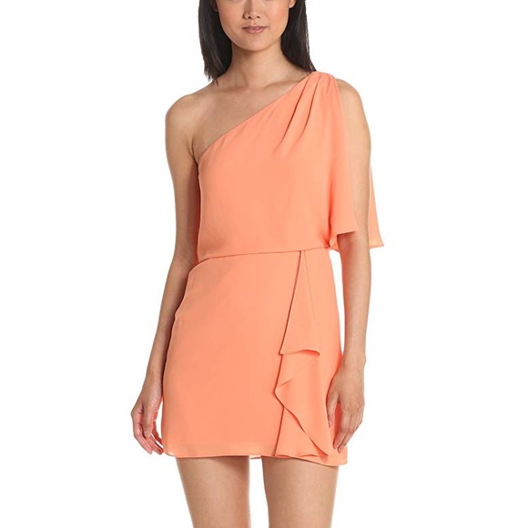 BCBGMaxazria Mina chiffon dress - Picture 1 of 4